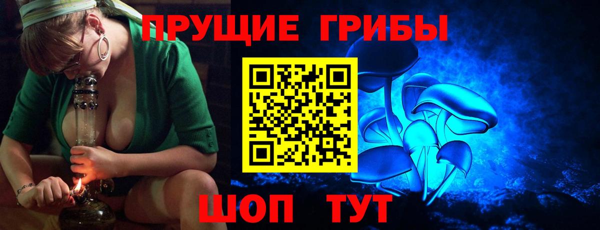 Сергиев Посад  Псилоцибиновые грибы MAGIC MUSHROOMS  Вход с VPN 
